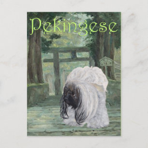 Pekingese at Oriental Gateway Postcard