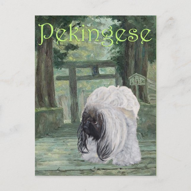 Pekingese at Oriental Gateway Postcard (Front)