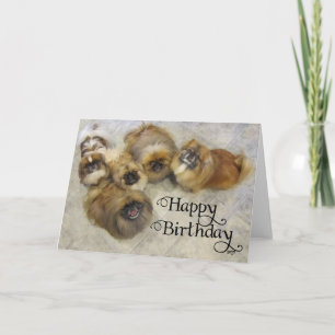 Pekingese Birthday Greeting Card
