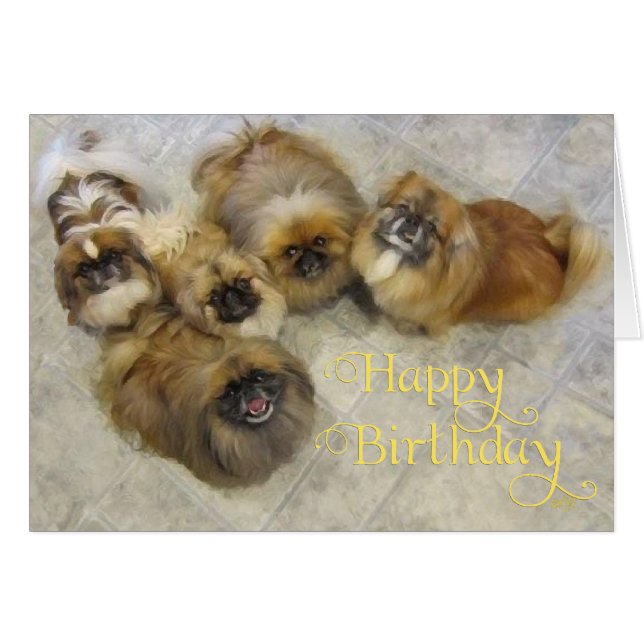 Pekingese Birthday Greeting Card (Front Horizontal)
