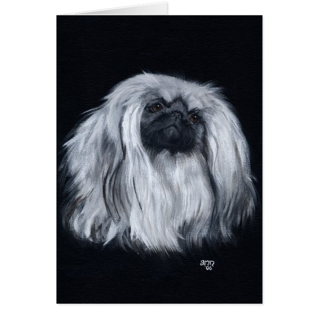 Pekingese Black & White (Front)