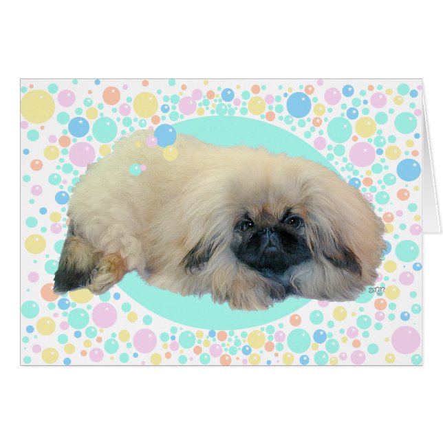 Pekingese Bubble Happiness (Front Horizontal)
