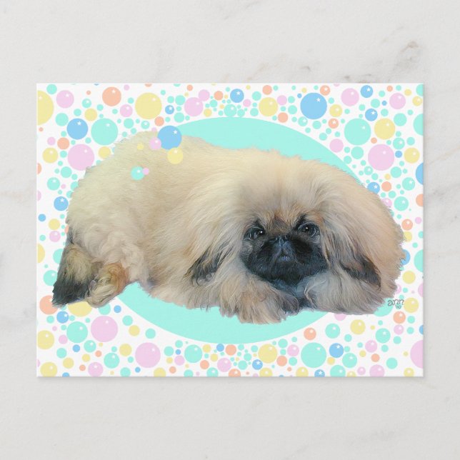 Pekingese Bubble Happiness Postcard (Front)