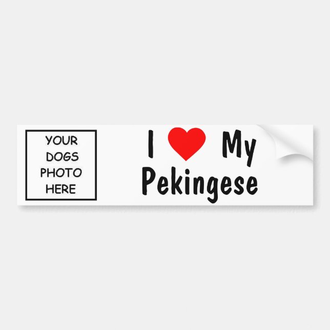 Pekingese Bumper Sticker (Front)