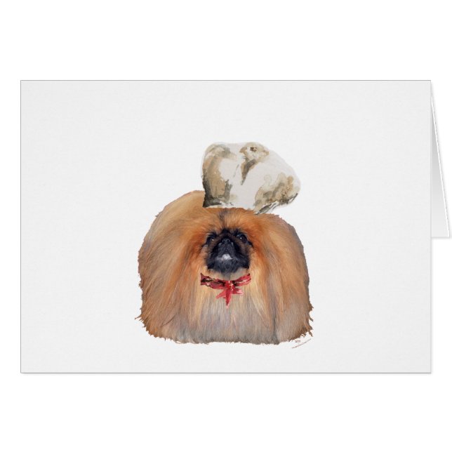 Pekingese Chef - Male (Front Horizontal)