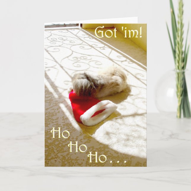 Pekingese Christmas Greeting Card (Front)