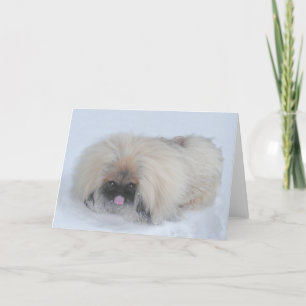 Pekingese Christmas Greeting Card