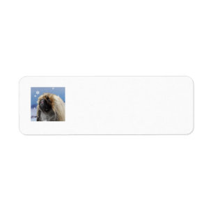 Pekingese Christmas Return Address Labels