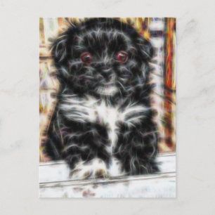 Pekingese cute Puppy dog Postcard