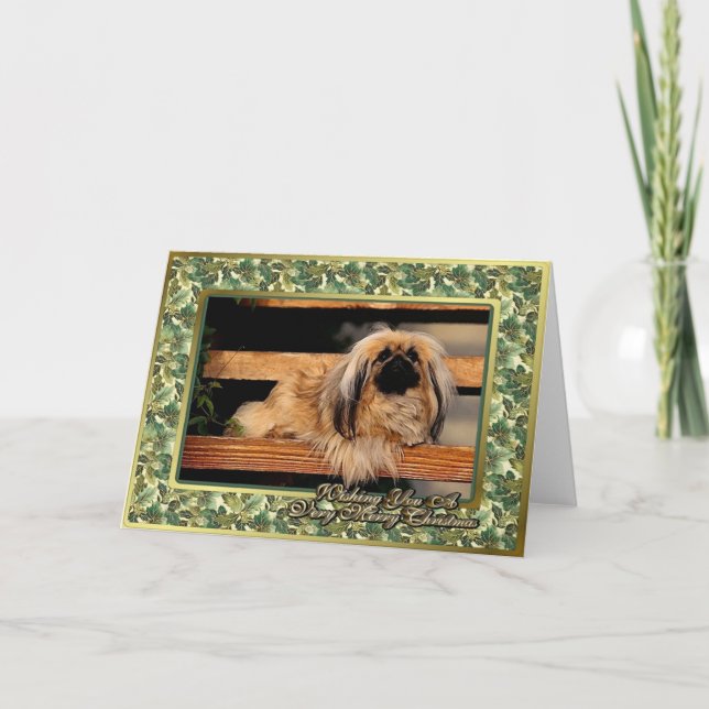 Pekingese Dog Blank Christmas Card (Front)
