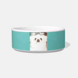 Pekingese dog ceramic bowl. bowl