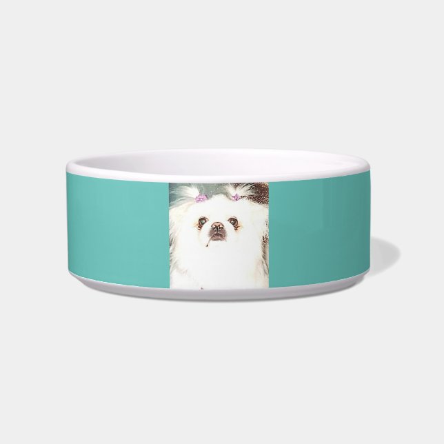 Pekingese dog ceramic bowl. bowl (Front)
