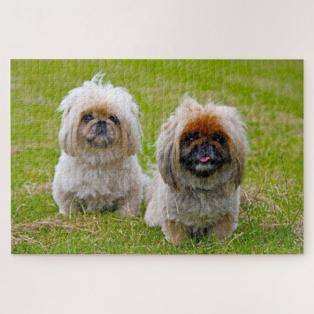 Pekingese Dog. Jigsaw Puzzle (Horizontal)