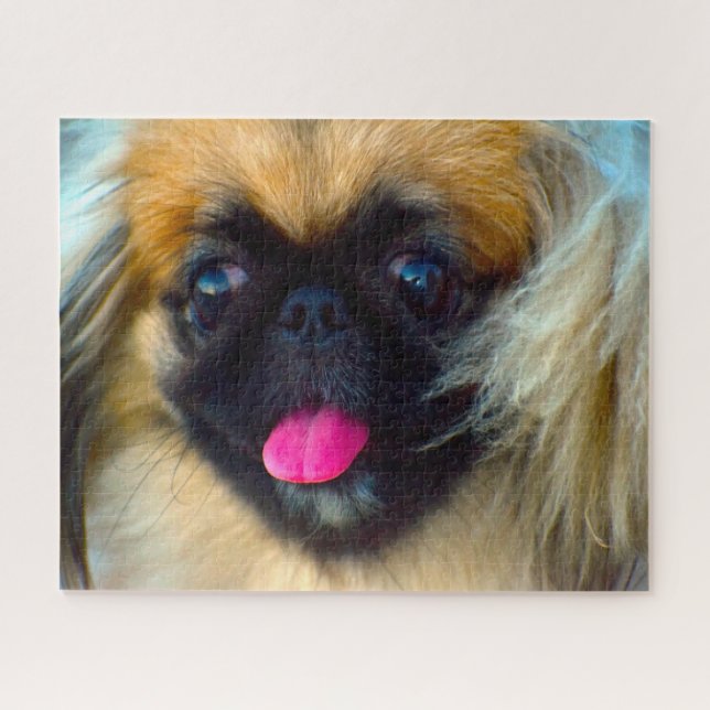 Pekingese Dog. Jigsaw Puzzle (Horizontal)