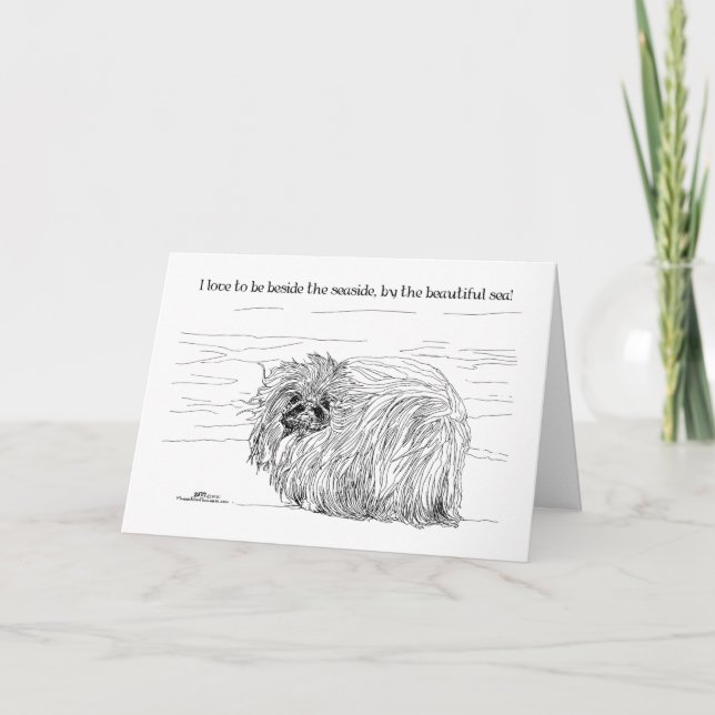 Pekingese Dog Notes (Front)