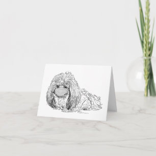 Pekingese Dog Notes