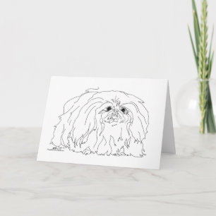 Pekingese Dog Notes