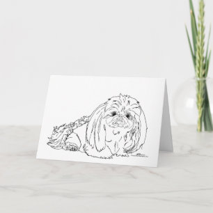 Pekingese Dog Notes