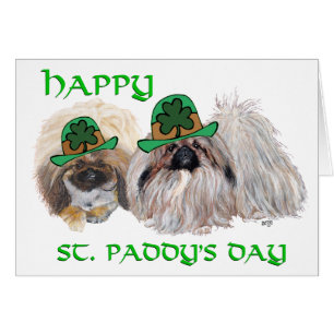 Pekingese Dogs Celebrate St. Patrick's Day