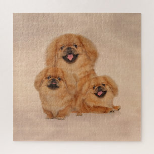 Pekingese dogs collage jigsaw puzzle