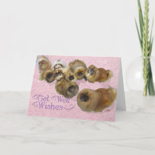 Pekingese Get Well Card