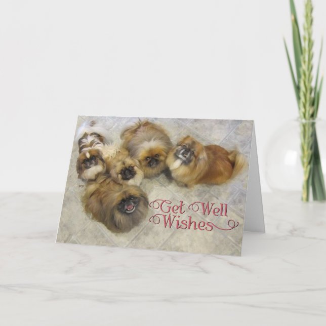 Pekingese Get Well Card (Front)