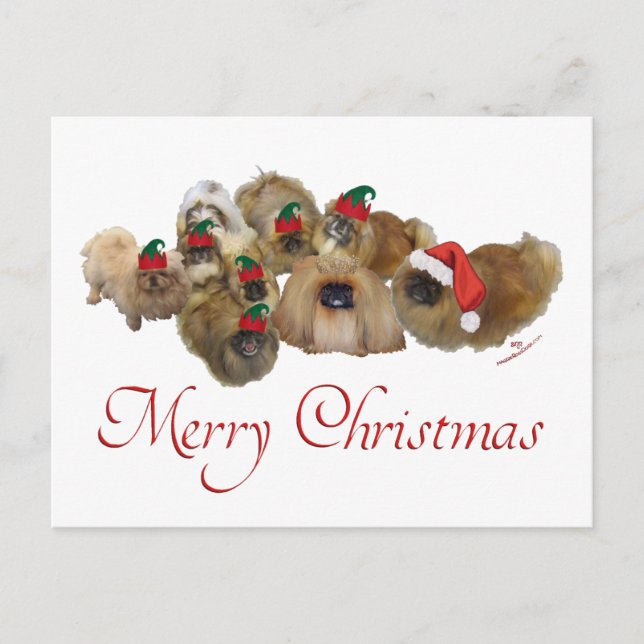 Pekingese Group Christmas Holiday Postcard (Front)