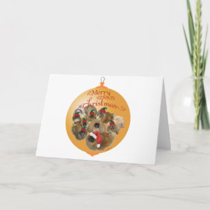 Pekingese Group Ornament Holiday Card