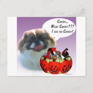 Pekingese Halloween Candy Postcard