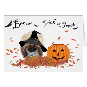 Pekingese Halloween Greeting Card