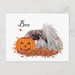 Pekingese Halloween Postcard