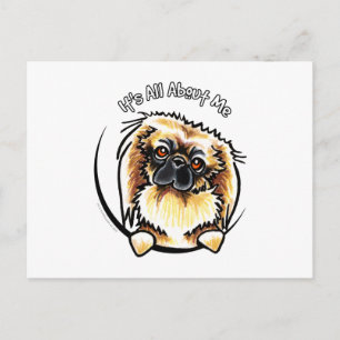 Pekingese IAAM Postcard