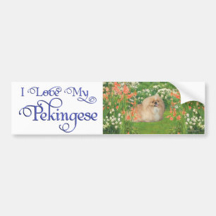 Pekingese in the Garden Bumper Sticker