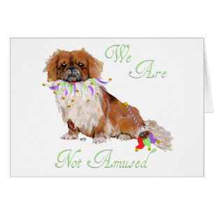 Pekingese is Not Amused