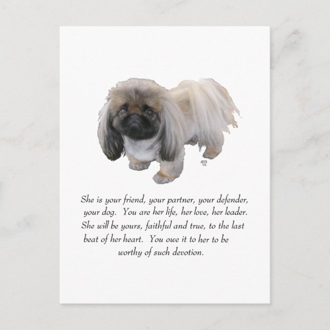 Pekingese Keepsake - FEMALE Postcard (Front)
