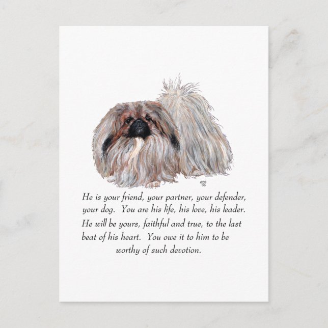 Pekingese Keepsake - MALE Postcard (Front)
