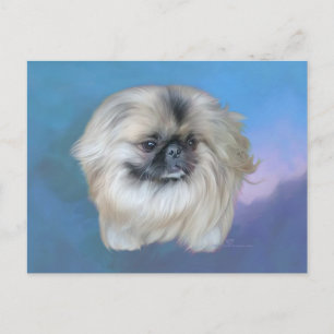Pekingese Lily on Blue Postcard