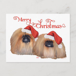 Pekingese Merry Christmas Holiday Postcard