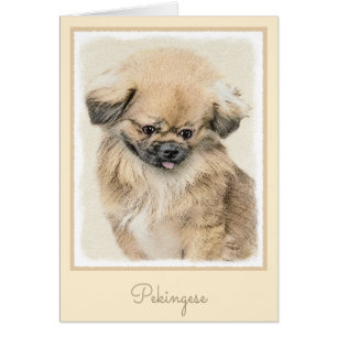Pekingese Painting - Cute Original Dog Art