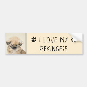 Pekingese Painting - Cute Original Dog Art Bumper Sticker