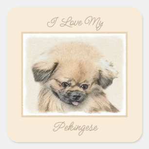 Pekingese Painting - Cute Original Dog Art Square  Square Sticker