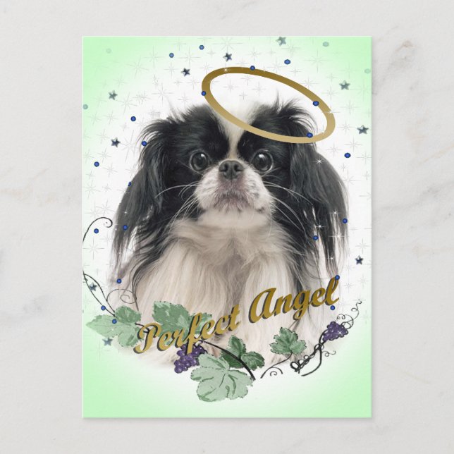 Pekingese Perfect Angel Postcard (Front)