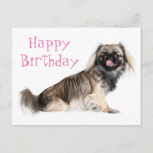 Pekingese Pink Happy Birthday Puppy Dog Postcard