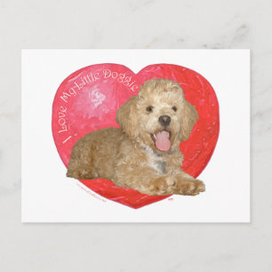 Pekingese / Poodle Mix Valentine's Day Holiday Postcard