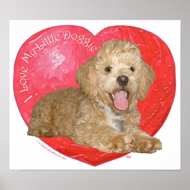 Pekingese / Poodle Mix Valentine's Day Poster (Front)