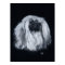Pekingese Portrait in Black & White