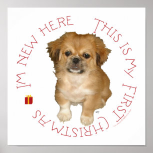 Pekingese Pup First Christmas Poster