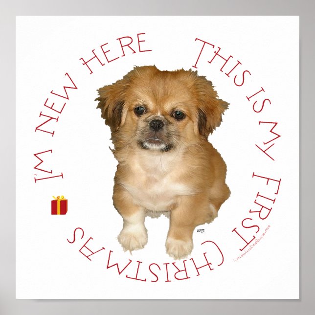 Pekingese Pup First Christmas Poster (Front)