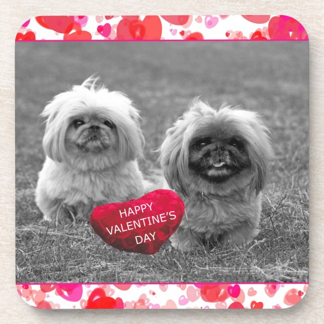 Pekingese Puppies wishing Happy Valentine's Day Coaster (Front)