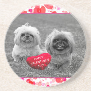 Pekingese Puppies wishing Happy Valentine's Day Coaster